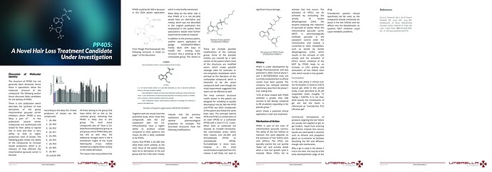 ULB-Article-08_2025-01-PP405-B
