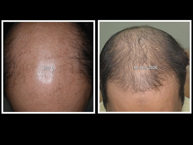 7th Month Progress.jpg