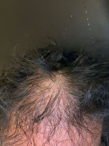 WhatsApp Image 2026-02-27 at 00.44.26 (2)